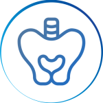 fizjoterapia dna miednicy warszawa life medical center
