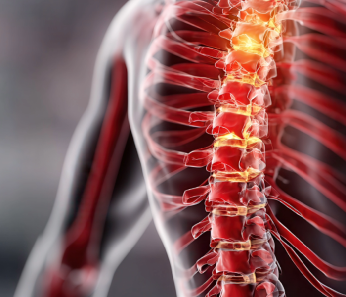 neurochirurgia warszawa lifemedicalcenter operacje nerwów kregoslupa neurochirurgia warszawa lifemedicalcenter operacje nerwów kregoslupa