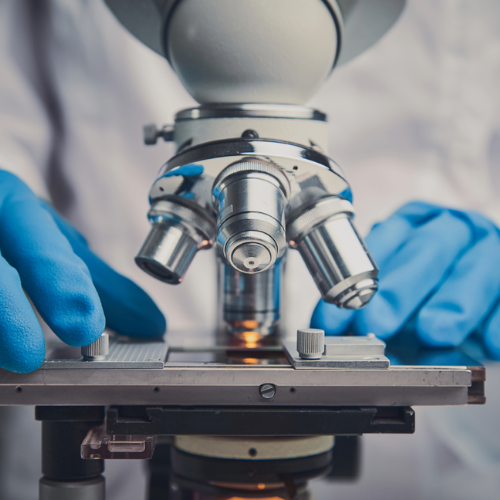 Badania laboratoryjne chorob reumatycznych Badania laboratoryjne chorob reumatycznych